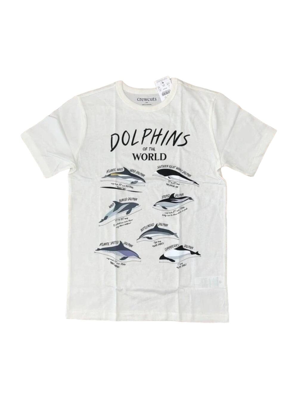 NWT J. Crew Boys' Ivory W/Dolphin Graphic Crewneck Tee